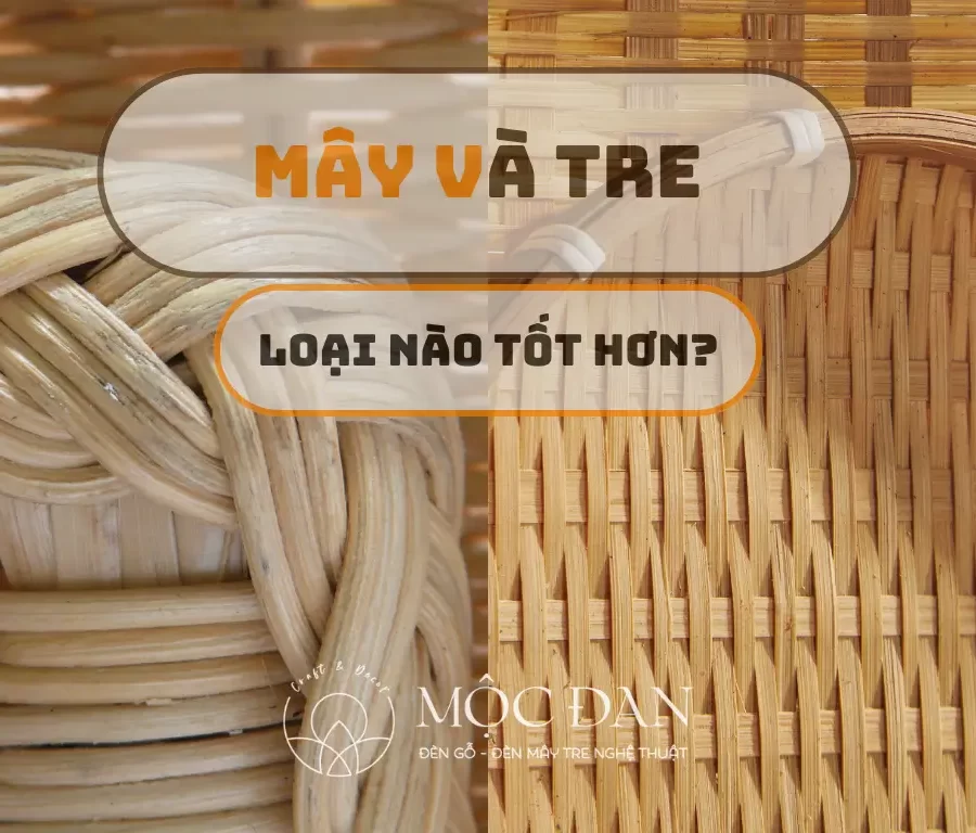 may hay tre