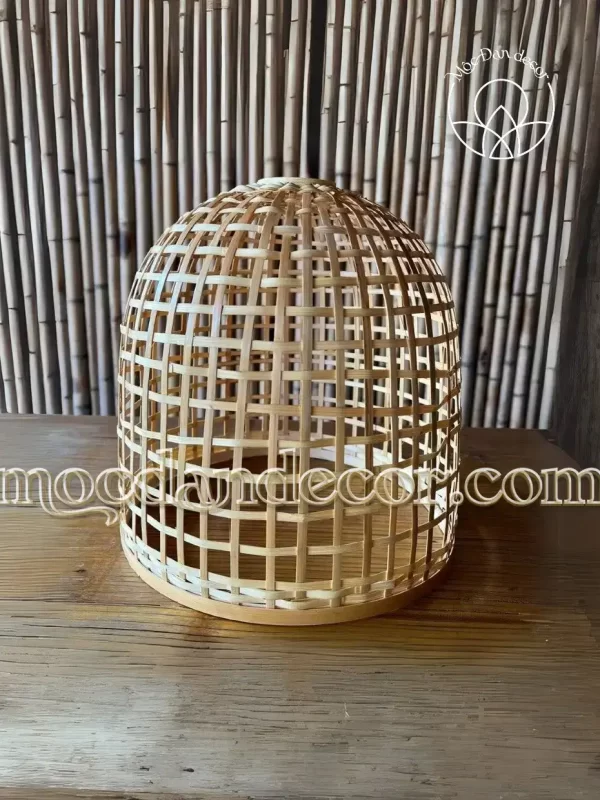 MDNCT026 1