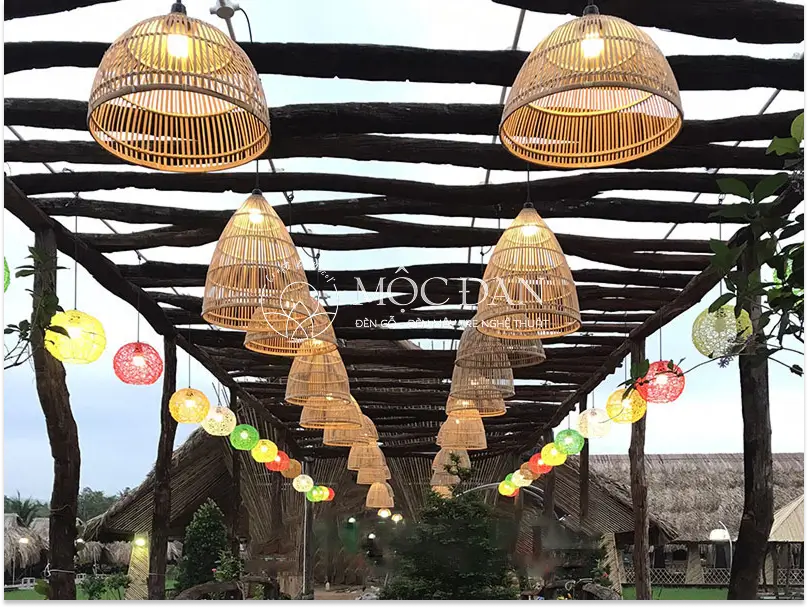 den tre trang tri mai hien HCM