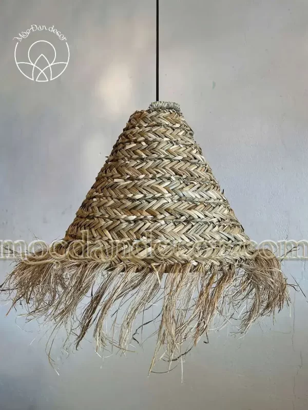 MDC006 1
