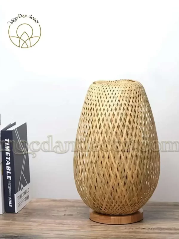 MDNCT004 1