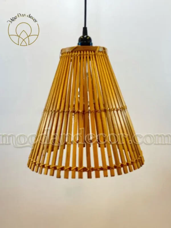 MDVCT010 1